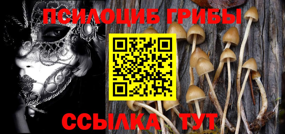 Псилоцибиновые грибы ЛСД  Псилоцибиновые грибы MAGIC MUSHROOMS  Кузнецк  Вход с VPN 