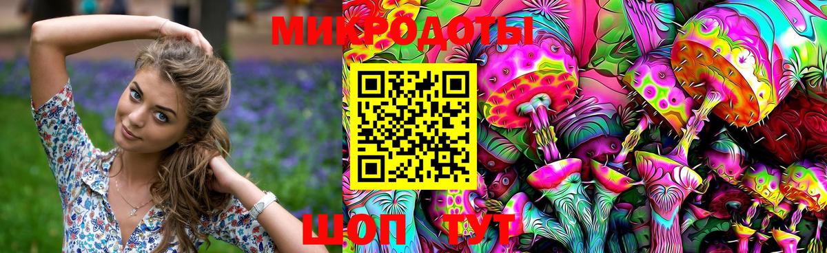 ГАШ Кузнецк